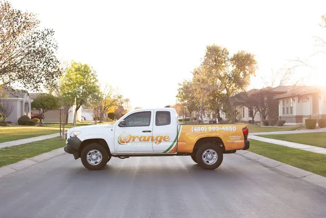 Orange Pest Control — photo from the business 11