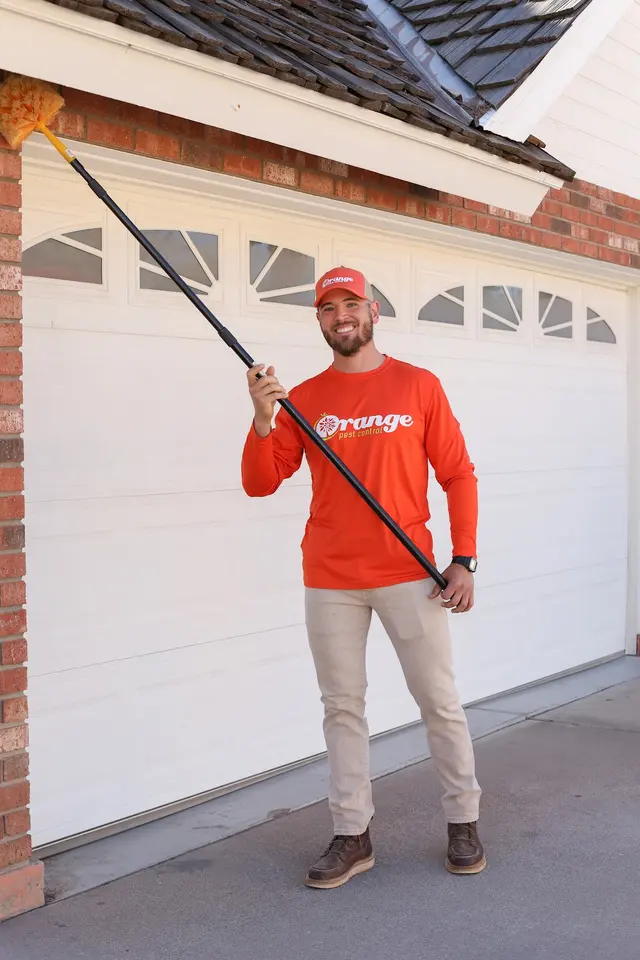 Orange Pest Control — photo from the business 7