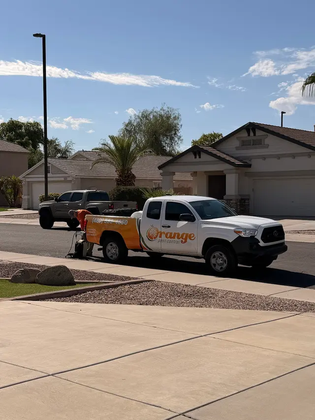 Orange Pest Control — customer photo 8
