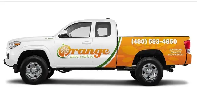 Orange Pest Control — photo from the business 10