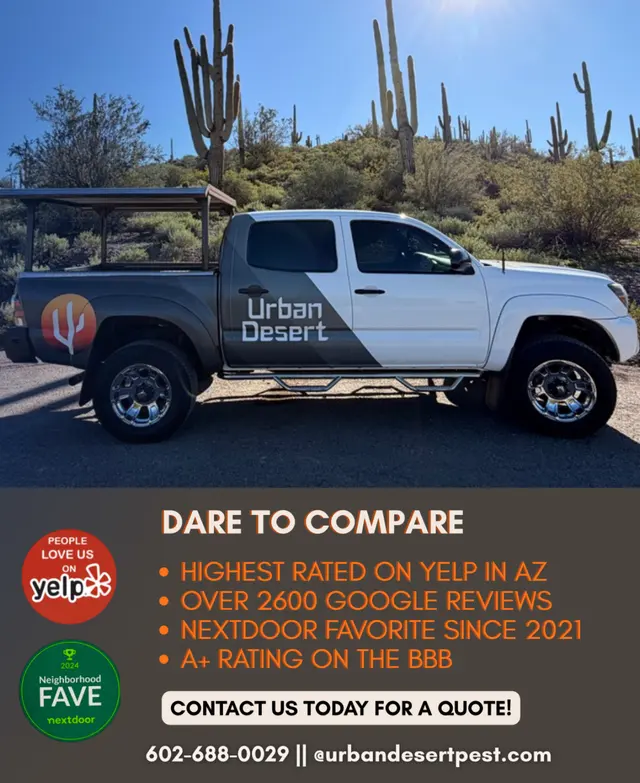 Urban Desert Pest Control — photo from the business 4