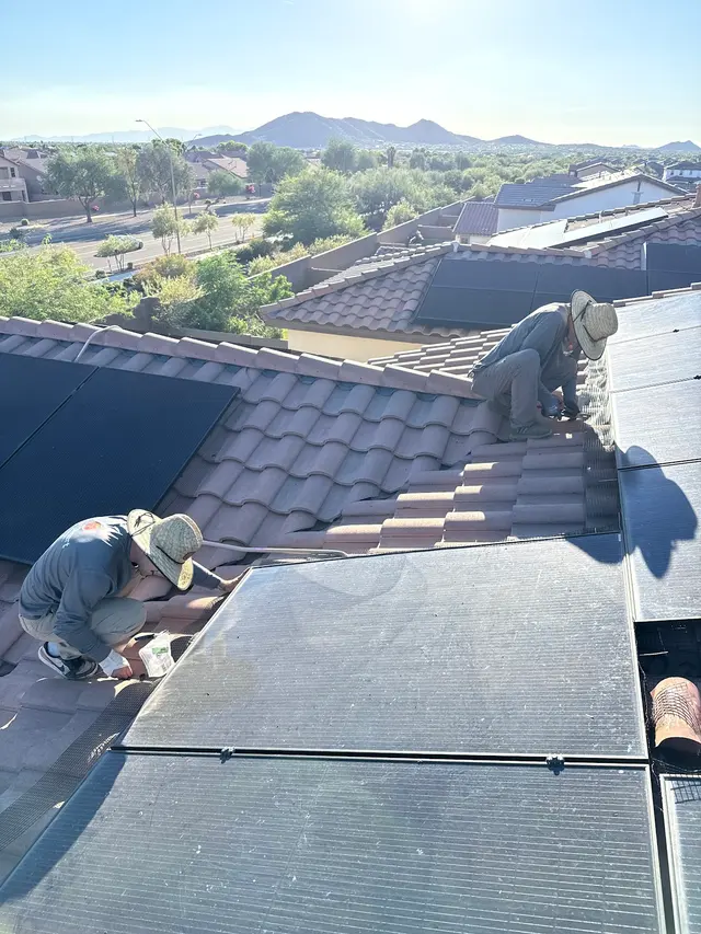 Urban Desert Pest Control — photo from the business 2