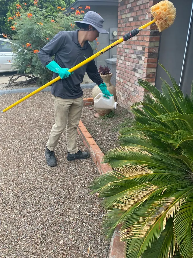 Green Home Pest Control — photo from the business 8