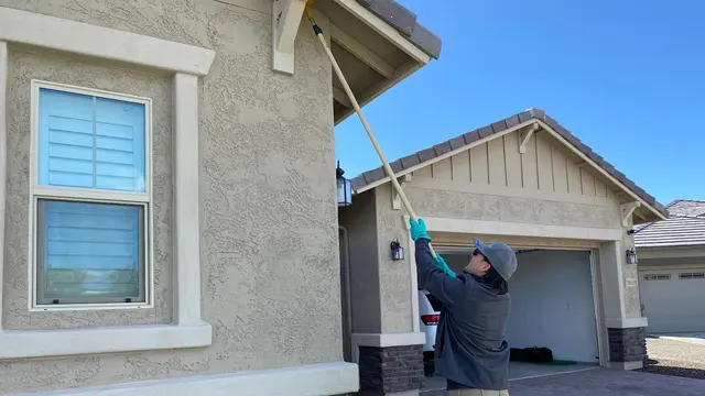 Green Home Pest Control — photo from the business 6