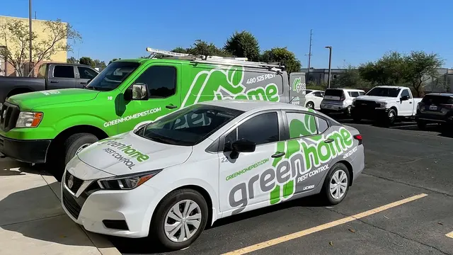 Green Home Pest Control — photo from the business 3