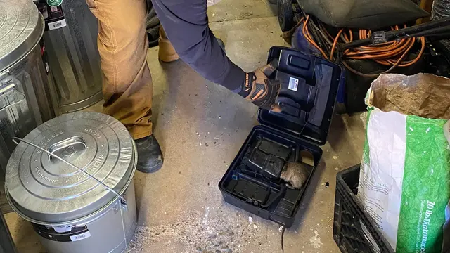 Green Home Pest Control — photo from the business 12