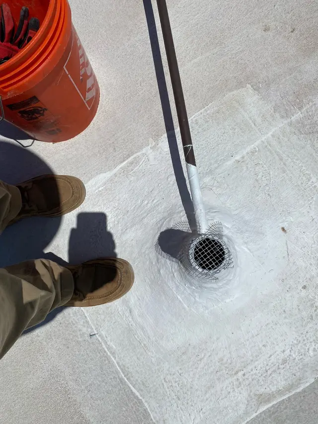 Green Home Pest Control — photo from the business 10