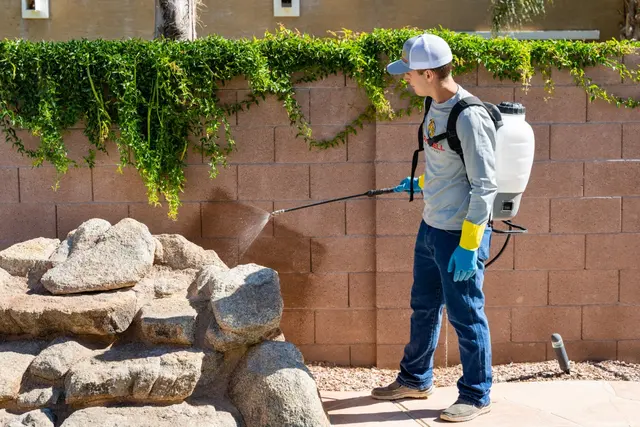 Crandell Pest Control — photo from the business 3