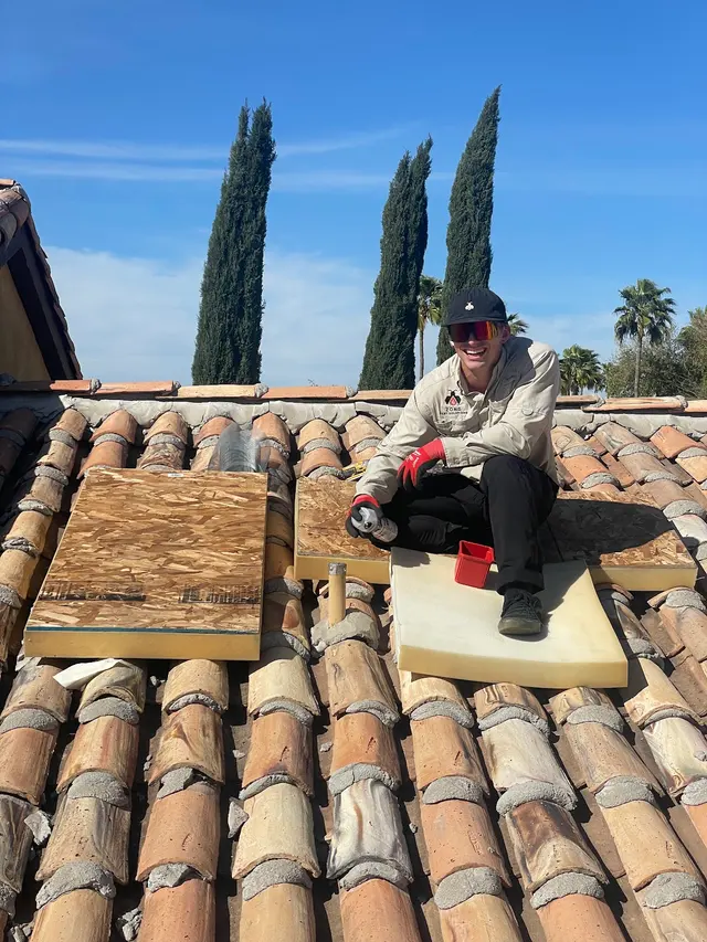 Zona Pest Solutions — photo from the business 7