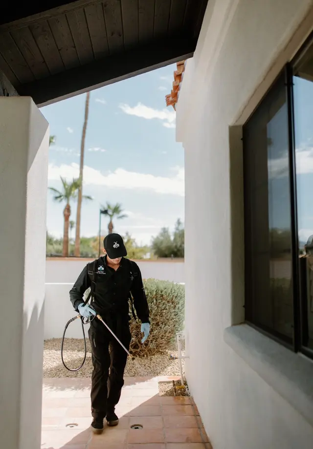Zona Pest Solutions — photo from the business 5