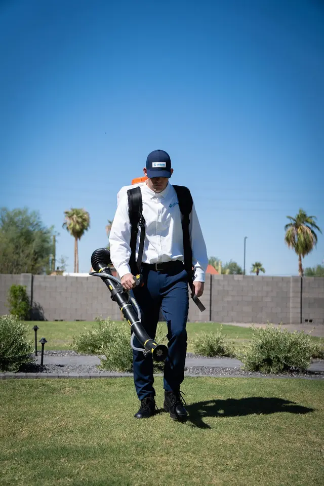 Moxie Pest Control — photo from the business 1