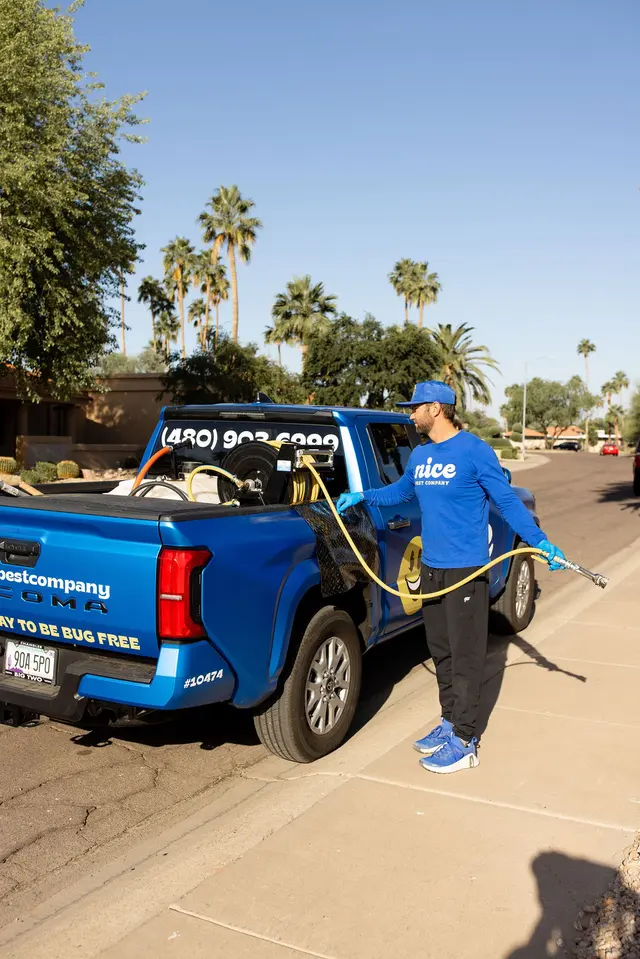 Nice Pest Company — photo from the business 7