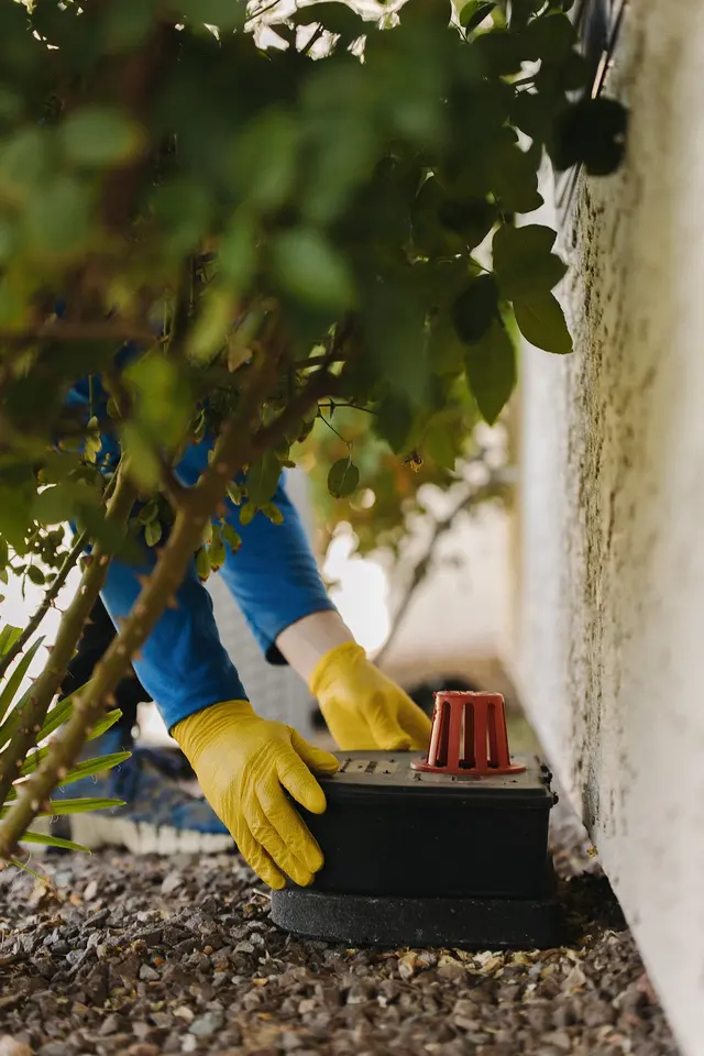 Nice Pest Company — photo from the business 8