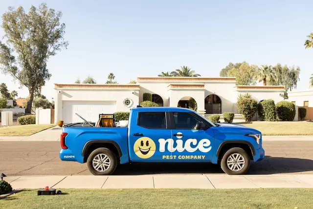 Nice Pest Company — photo from the business 11