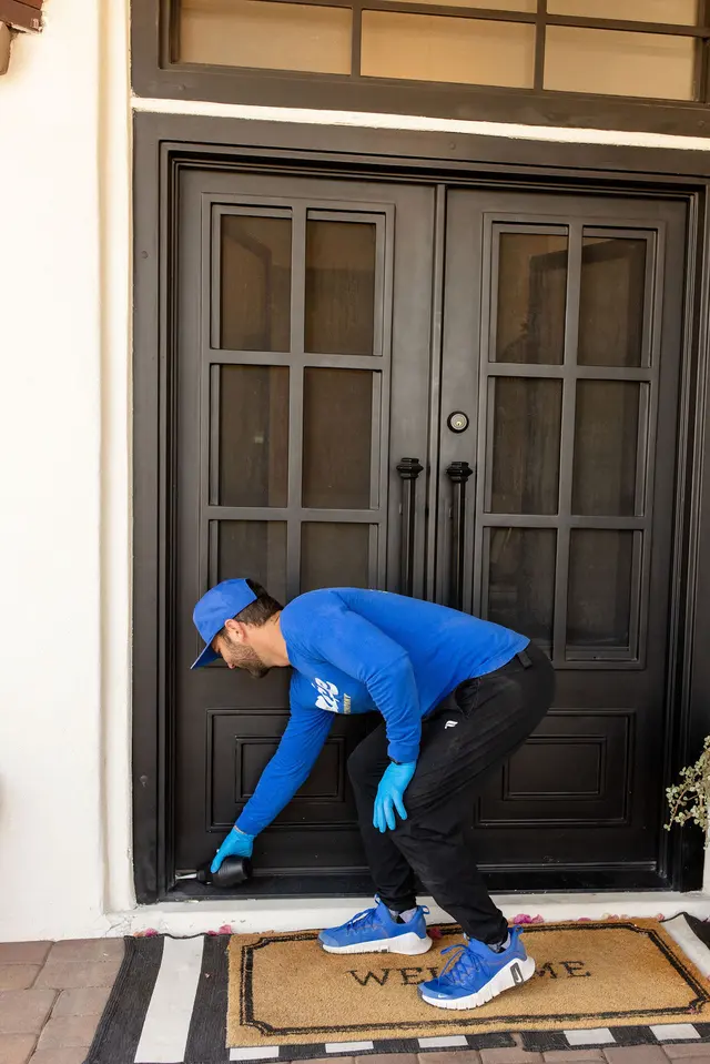 Nice Pest Company — photo from the business 5