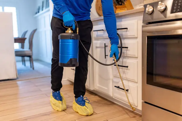Nice Pest Company — photo from the business 4