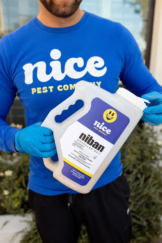 Nice Pest Company — photo from the business 10
