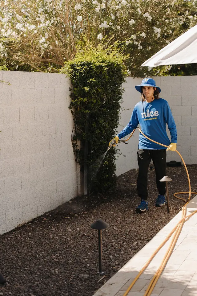 Nice Pest Company — photo from the business 3
