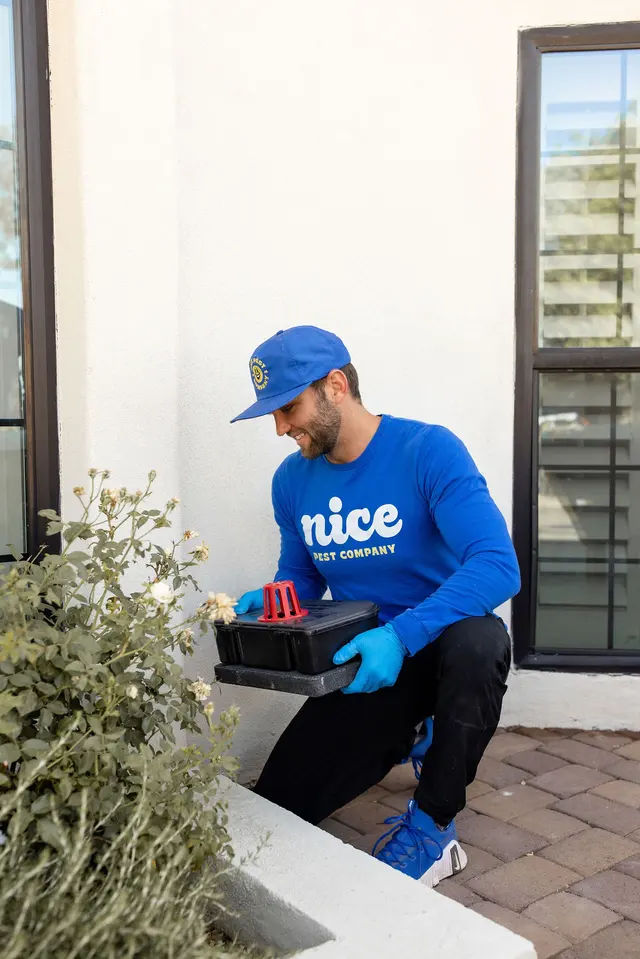 Nice Pest Company — photo from the business 12