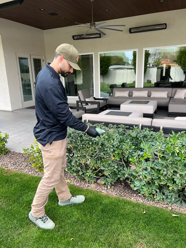 CAPE Pest Control — photo from the business 12