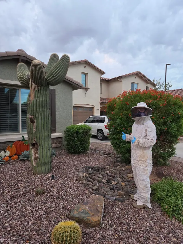 CAPE Pest Control — customer photo 1