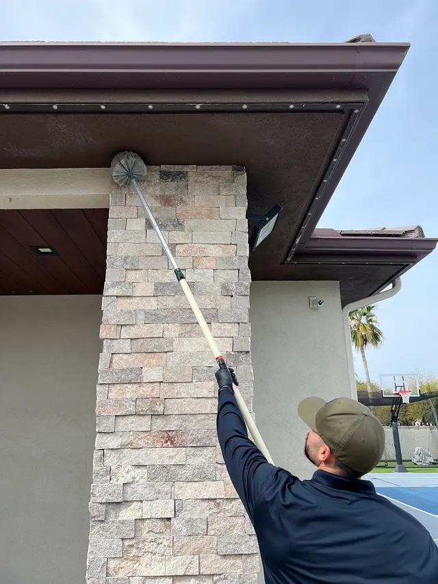 CAPE Pest Control — photo from the business 11