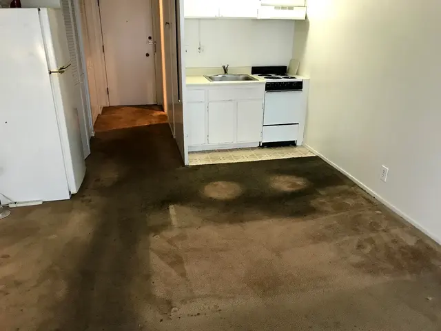 MCS Cleaning Services Inc. — photo from the business 3