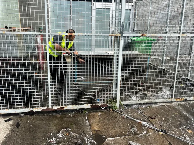 Optimum Green Cleaning LLC/ OFFICES CLEANING SERVICES — photo from the business 6