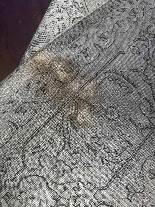 Carpet Cleaning Baytown TX — customer photo 2