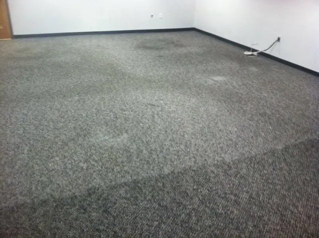 Carpet Cleaning Baytown TX — photo from the business 5