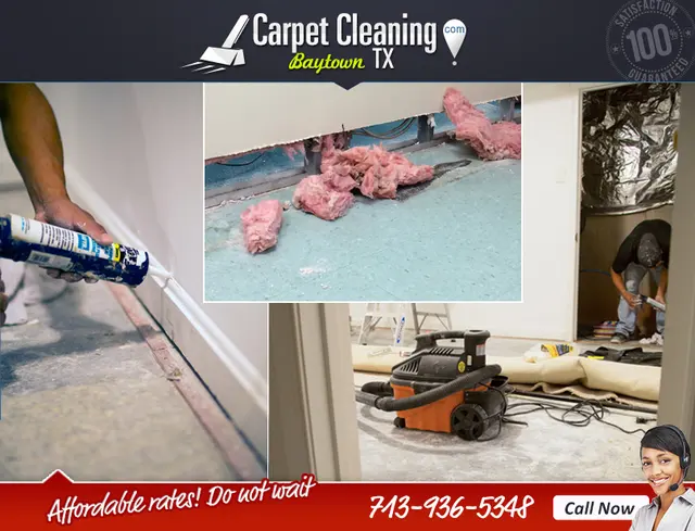 Carpet Cleaning Baytown TX — photo from the business 11