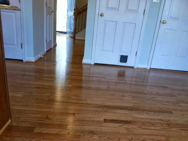 Carpet Cleaning Baytown TX — photo from the business 4
