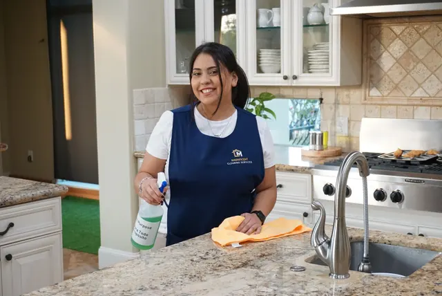 Magnificent Cleaning Services — photo from the business 8
