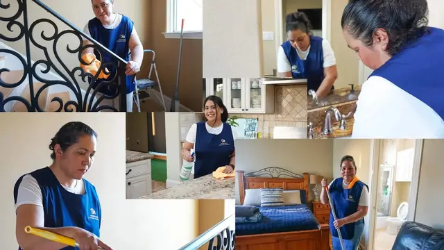 Magnificent Cleaning Services — photo from the business 1