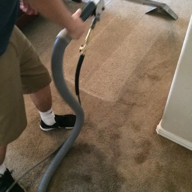 Pathfinder's Carpet Cleaning — customer photo 10