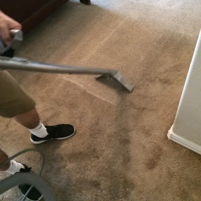 Pathfinder's Carpet Cleaning — customer photo 7