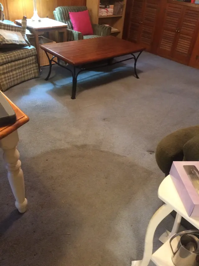Pathfinder's Carpet Cleaning — customer photo 11