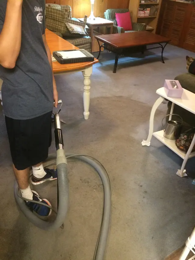 Pathfinder's Carpet Cleaning — customer photo 9