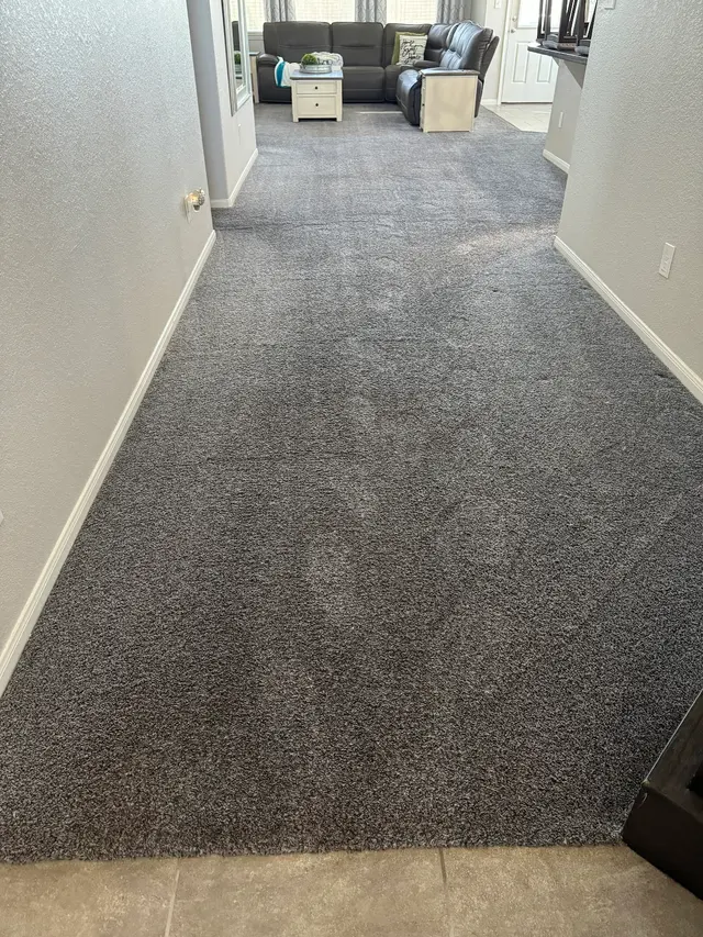 Pathfinder's Carpet Cleaning — customer photo 3