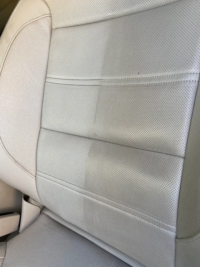 Cleaning Carpets N More — photo from the business 2