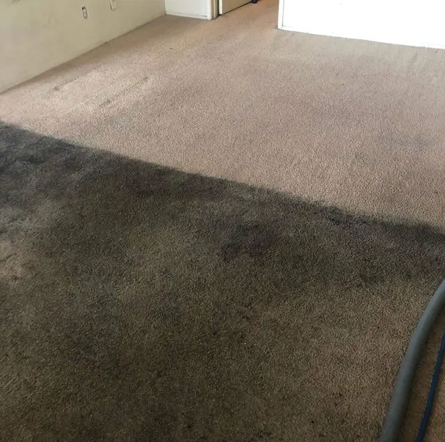 Cleaning Carpets N More — photo from the business 3