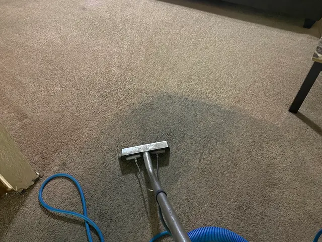 Cleaning Carpets N More — photo from the business 9