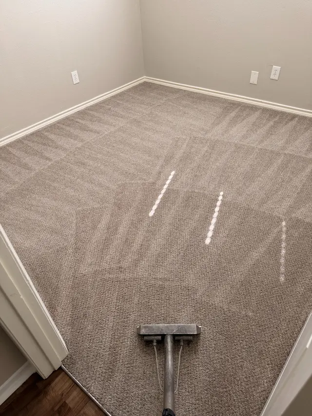 Cleaning Carpets N More — photo from the business 5