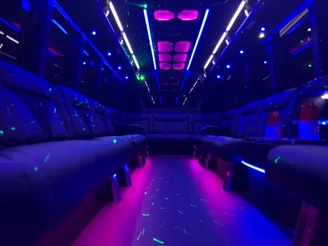 Allison Limousine LLC — photo from the business 7