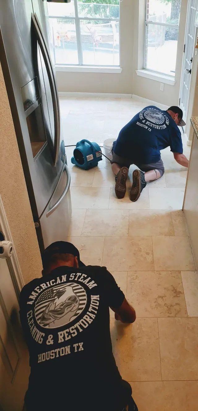 American Steam Cleaning & Restoration — photo from the business 12