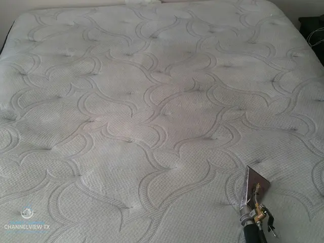 Carpet Cleaning Channelview TX — photo from the business 8