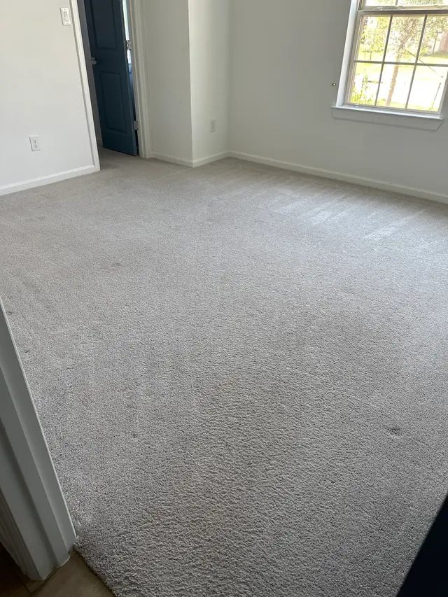 Carpet Cleaning La Marque TX — customer photo 2