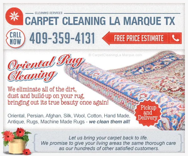 Carpet Cleaning La Marque TX — photo from the business 6