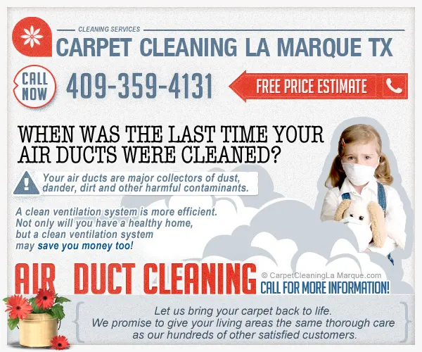 Carpet Cleaning La Marque TX — photo from the business 7