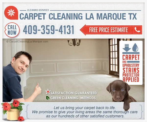 Carpet Cleaning La Marque TX — photo from the business 8